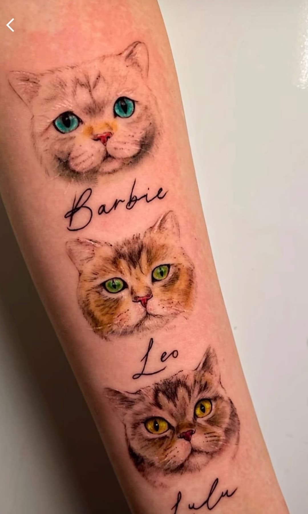 Kuzey Kıbrıs dövme çalışması 20 - Cyprus Tattoo Studio